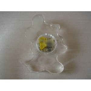 CRYSTAL CRAFTS-IGT-CR0012